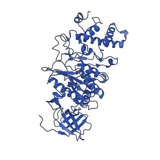 21849_6wm4_D_v1-1
Human V-ATPase in state 3 with SidK and ADP