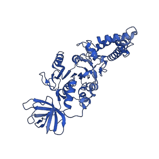 21849_6wm4_E_v1-1
Human V-ATPase in state 3 with SidK and ADP
