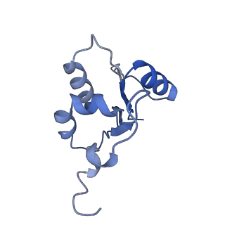 21849_6wm4_N_v1-1
Human V-ATPase in state 3 with SidK and ADP