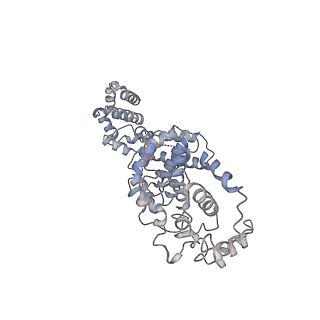21849_6wm4_P_v1-1
Human V-ATPase in state 3 with SidK and ADP