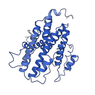 21849_6wm4_Q_v1-1
Human V-ATPase in state 3 with SidK and ADP