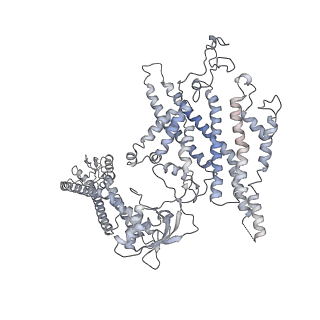 21849_6wm4_R_v1-1
Human V-ATPase in state 3 with SidK and ADP