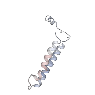 21849_6wm4_S_v1-1
Human V-ATPase in state 3 with SidK and ADP