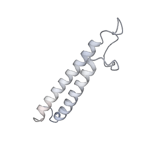 21849_6wm4_T_v1-1
Human V-ATPase in state 3 with SidK and ADP