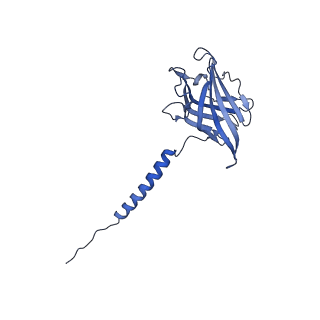 21849_6wm4_U_v1-1
Human V-ATPase in state 3 with SidK and ADP