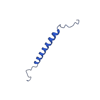 21849_6wm4_V_v1-1
Human V-ATPase in state 3 with SidK and ADP
