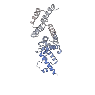 21849_6wm4_X_v1-1
Human V-ATPase in state 3 with SidK and ADP