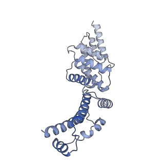 21849_6wm4_Y_v1-1
Human V-ATPase in state 3 with SidK and ADP