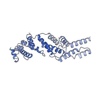 21849_6wm4_Z_v1-1
Human V-ATPase in state 3 with SidK and ADP