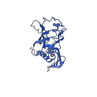21850_6wmp_A_v1-2
F. tularensis RNAPs70-iglA DNA complex