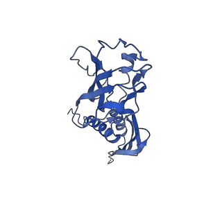 21850_6wmp_A_v1-3
F. tularensis RNAPs70-iglA DNA complex