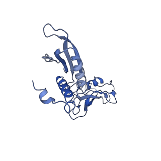 21850_6wmp_B_v1-2
F. tularensis RNAPs70-iglA DNA complex