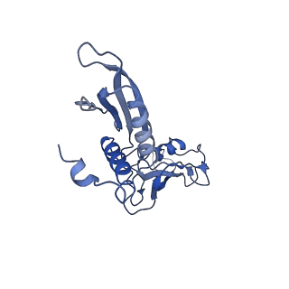 21850_6wmp_B_v1-3
F. tularensis RNAPs70-iglA DNA complex