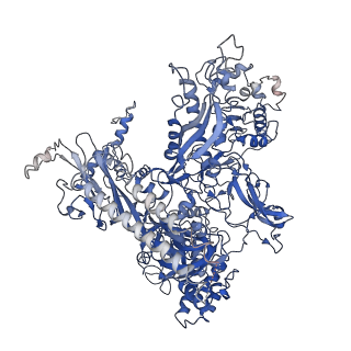 21850_6wmp_C_v1-2
F. tularensis RNAPs70-iglA DNA complex