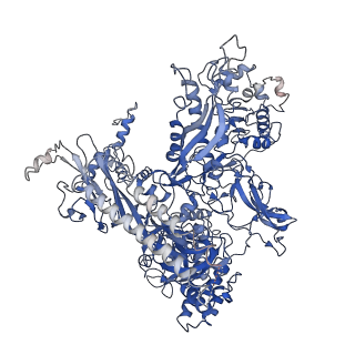 21850_6wmp_C_v1-3
F. tularensis RNAPs70-iglA DNA complex