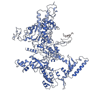 21850_6wmp_D_v1-2
F. tularensis RNAPs70-iglA DNA complex