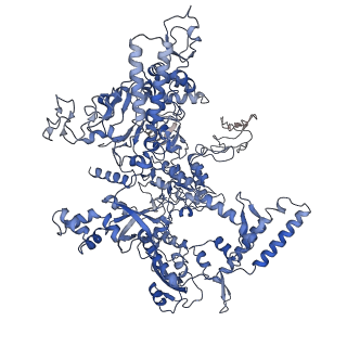 21850_6wmp_D_v1-3
F. tularensis RNAPs70-iglA DNA complex