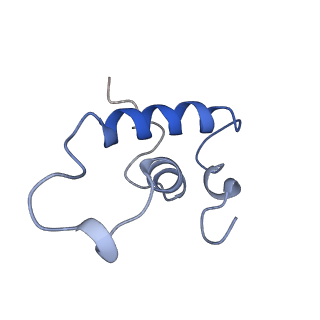 21850_6wmp_E_v1-2
F. tularensis RNAPs70-iglA DNA complex