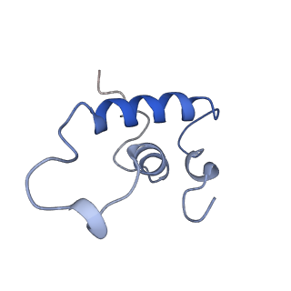 21850_6wmp_E_v1-3
F. tularensis RNAPs70-iglA DNA complex