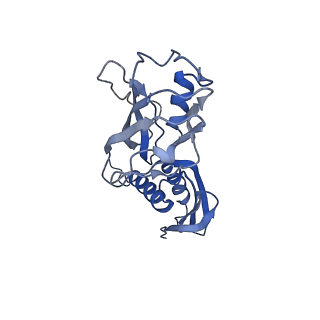 21851_6wmr_A_v1-2
F. tularensis RNAPs70-(MglA-SspA)-iglA DNA complex