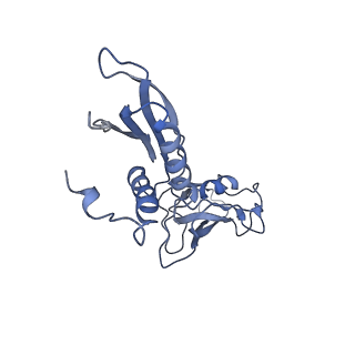 21851_6wmr_B_v1-2
F. tularensis RNAPs70-(MglA-SspA)-iglA DNA complex