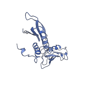 21851_6wmr_B_v1-3
F. tularensis RNAPs70-(MglA-SspA)-iglA DNA complex