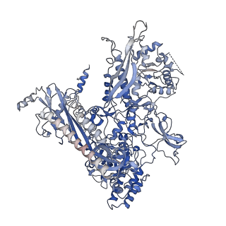 21851_6wmr_C_v1-2
F. tularensis RNAPs70-(MglA-SspA)-iglA DNA complex