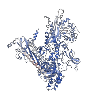 21851_6wmr_C_v1-3
F. tularensis RNAPs70-(MglA-SspA)-iglA DNA complex