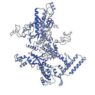 21851_6wmr_D_v1-2
F. tularensis RNAPs70-(MglA-SspA)-iglA DNA complex