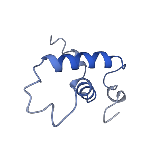 21851_6wmr_E_v1-3
F. tularensis RNAPs70-(MglA-SspA)-iglA DNA complex