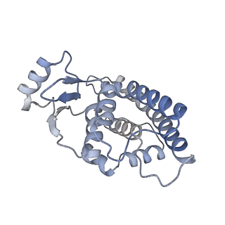 21851_6wmr_M_v1-2
F. tularensis RNAPs70-(MglA-SspA)-iglA DNA complex
