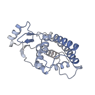 21851_6wmr_M_v1-3
F. tularensis RNAPs70-(MglA-SspA)-iglA DNA complex