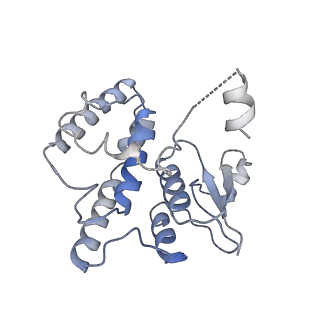 21851_6wmr_S_v1-2
F. tularensis RNAPs70-(MglA-SspA)-iglA DNA complex