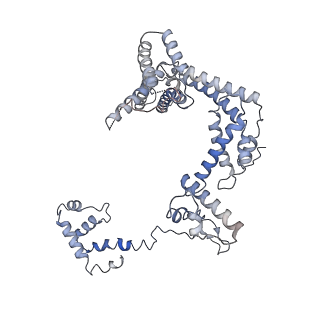 21851_6wmr_Z_v1-2
F. tularensis RNAPs70-(MglA-SspA)-iglA DNA complex