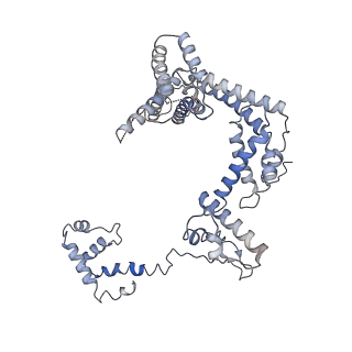 21851_6wmr_Z_v1-3
F. tularensis RNAPs70-(MglA-SspA)-iglA DNA complex