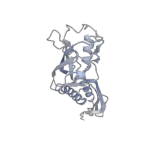 21852_6wmt_A_v1-2
F. tularensis RNAPs70-(MglA-SspA)-ppGpp-PigR-iglA DNA complex