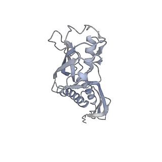 21852_6wmt_A_v2-1
F. tularensis RNAPs70-(MglA-SspA)-ppGpp-PigR-iglA DNA complex