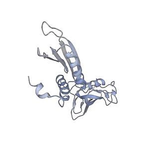 21852_6wmt_B_v1-2
F. tularensis RNAPs70-(MglA-SspA)-ppGpp-PigR-iglA DNA complex