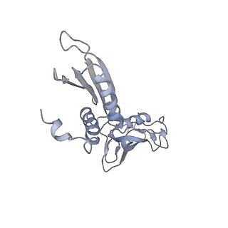 21852_6wmt_B_v2-1
F. tularensis RNAPs70-(MglA-SspA)-ppGpp-PigR-iglA DNA complex