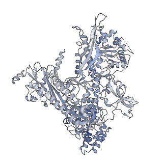 21852_6wmt_C_v2-0
F. tularensis RNAPs70-(MglA-SspA)-ppGpp-PigR-iglA DNA complex