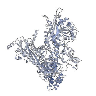 21852_6wmt_C_v2-1
F. tularensis RNAPs70-(MglA-SspA)-ppGpp-PigR-iglA DNA complex