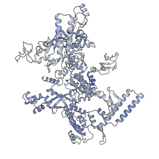 21852_6wmt_D_v1-2
F. tularensis RNAPs70-(MglA-SspA)-ppGpp-PigR-iglA DNA complex