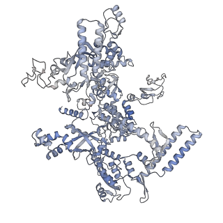 21852_6wmt_D_v2-1
F. tularensis RNAPs70-(MglA-SspA)-ppGpp-PigR-iglA DNA complex