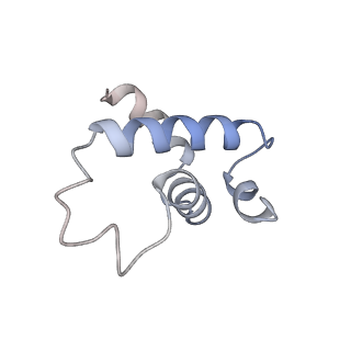 21852_6wmt_E_v2-0
F. tularensis RNAPs70-(MglA-SspA)-ppGpp-PigR-iglA DNA complex