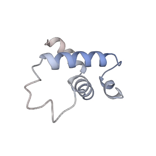 21852_6wmt_E_v2-1
F. tularensis RNAPs70-(MglA-SspA)-ppGpp-PigR-iglA DNA complex