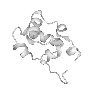 21852_6wmt_K_v1-2
F. tularensis RNAPs70-(MglA-SspA)-ppGpp-PigR-iglA DNA complex