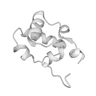 21852_6wmt_K_v2-0
F. tularensis RNAPs70-(MglA-SspA)-ppGpp-PigR-iglA DNA complex