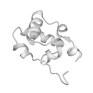 21852_6wmt_K_v2-1
F. tularensis RNAPs70-(MglA-SspA)-ppGpp-PigR-iglA DNA complex