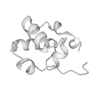 21852_6wmt_L_v1-2
F. tularensis RNAPs70-(MglA-SspA)-ppGpp-PigR-iglA DNA complex
