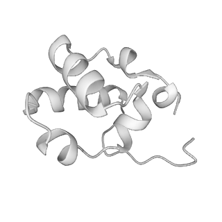 21852_6wmt_L_v2-0
F. tularensis RNAPs70-(MglA-SspA)-ppGpp-PigR-iglA DNA complex